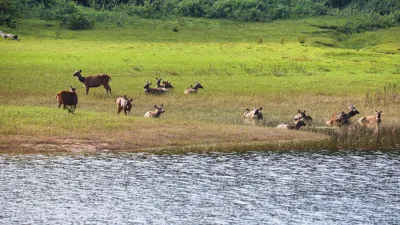 Kerala: l'anima dell'India